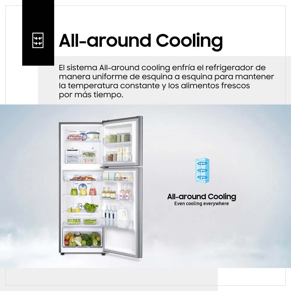 Refrigeradora SAMSUNG 255L RT25FARADS8